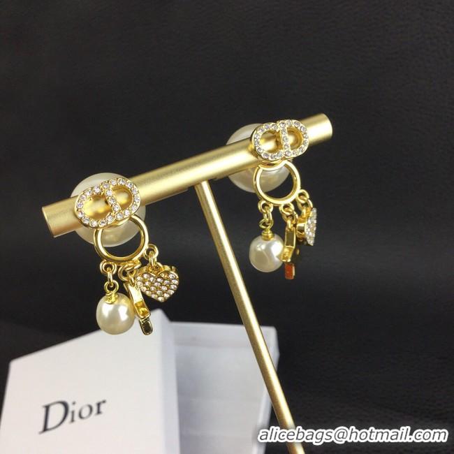 Expensive Dior Earrings CE8364