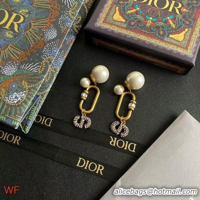 Top Grade Dior Earrings CE8675