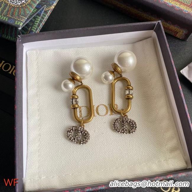 Top Grade Dior Earrings CE8675