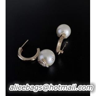 Feminine Chanel Earrings CE8993