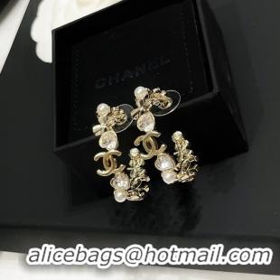 Durable Chanel Earrings CE9157