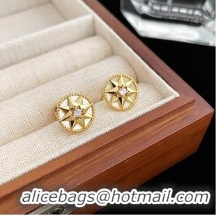 Reasonable Price Dior Earrings CE9913