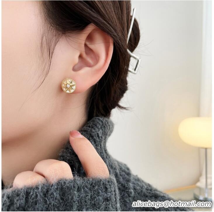 Reasonable Price Dior Earrings CE9913