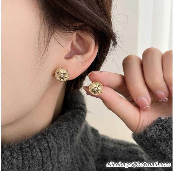 Reasonable Price Dior Earrings CE9913