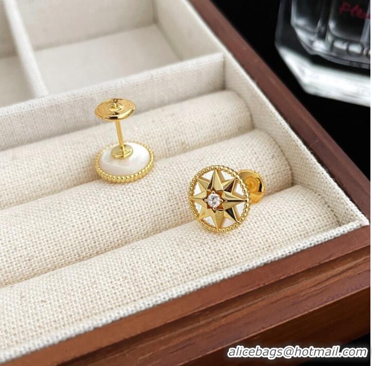 Reasonable Price Dior Earrings CE9913