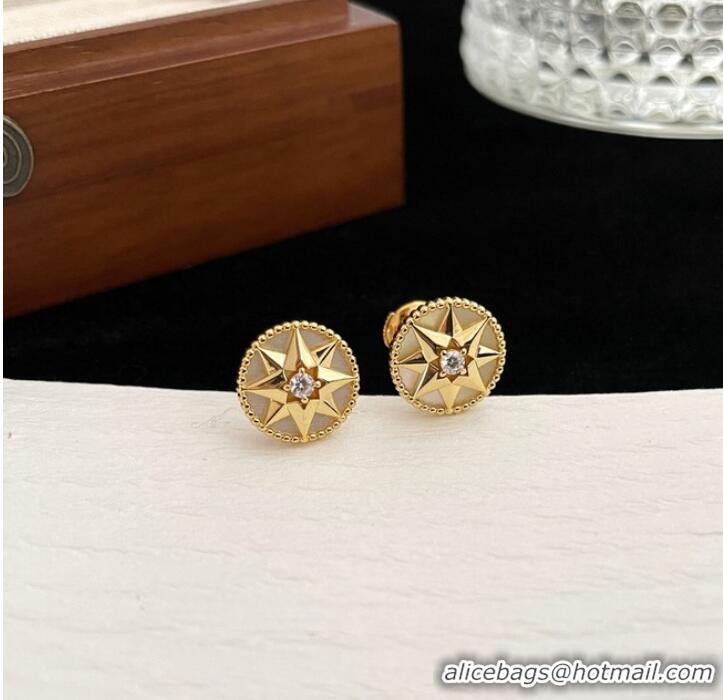 Reasonable Price Dior Earrings CE9913