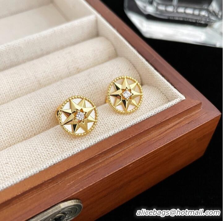 Reasonable Price Dior Earrings CE9913