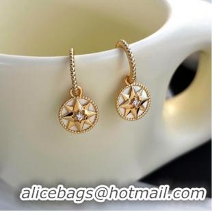 Well Crafted Dior Earrings CE9914