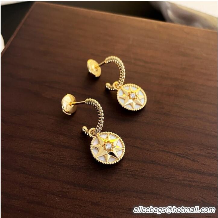 Well Crafted Dior Earrings CE9914