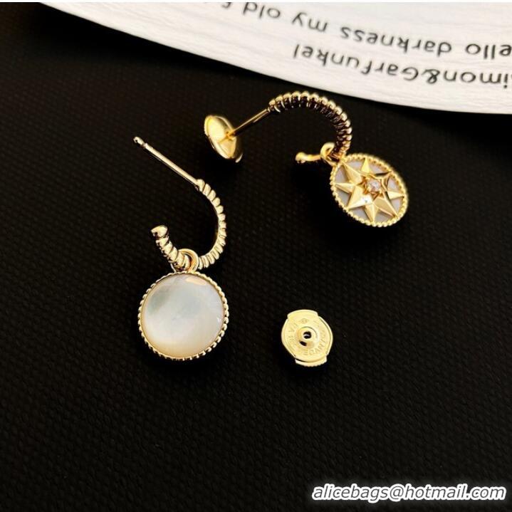 Well Crafted Dior Earrings CE9914