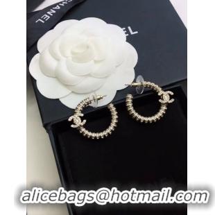 Top Grade Chanel Earrings CE9569