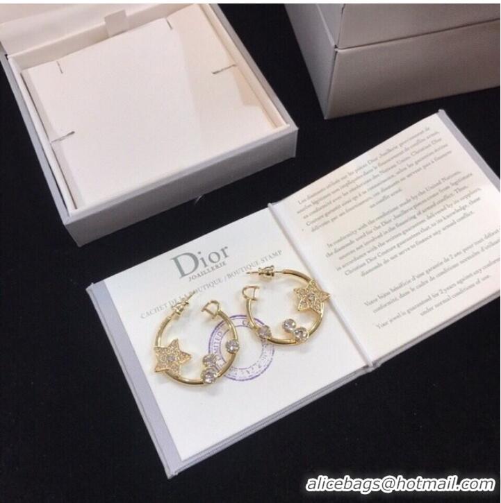 Buy Fashionable Dior Earrings CE9941