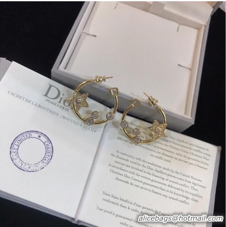 Buy Fashionable Dior Earrings CE9941