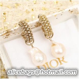 Grade Quality Dior Earrings CE9955