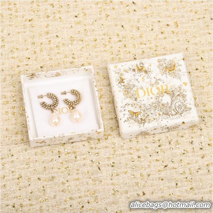 Grade Quality Dior Earrings CE9955