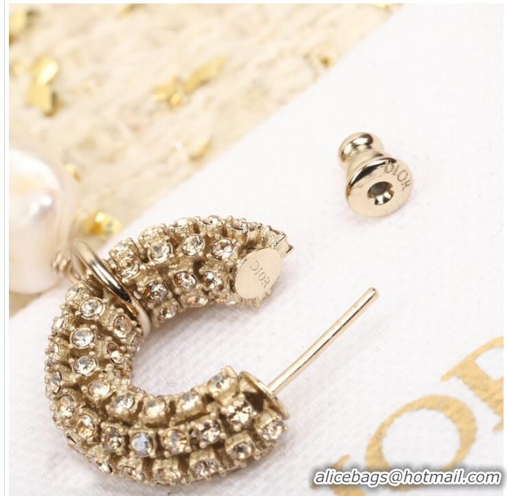 Grade Quality Dior Earrings CE9955