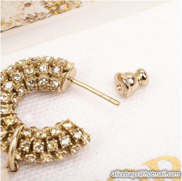 Grade Quality Dior Earrings CE9955