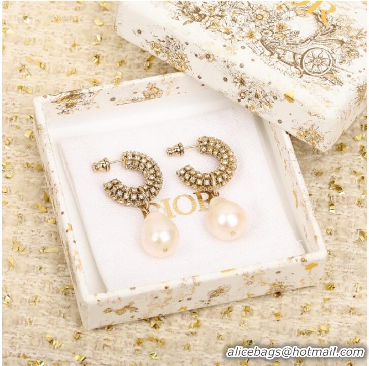 Grade Quality Dior Earrings CE9955