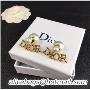 Good Taste Dior Earrings CE9966