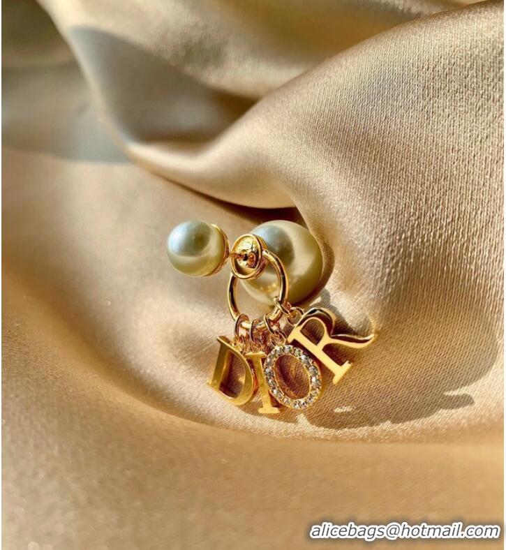 Most Popular Dior Earrings CE10071