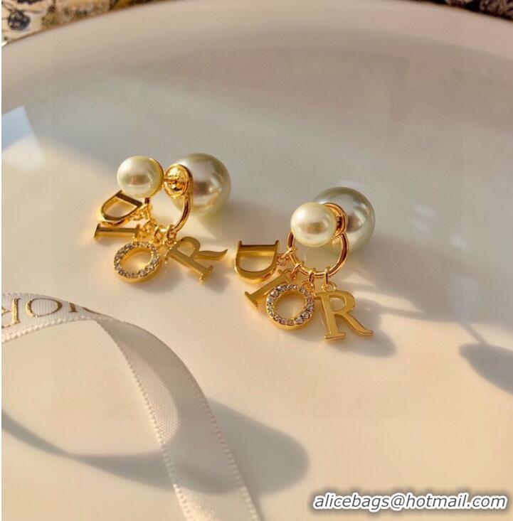 Most Popular Dior Earrings CE10071