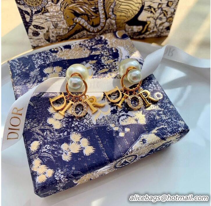 Most Popular Dior Earrings CE10071