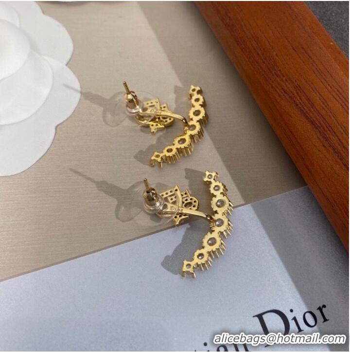 Well Crafted Discount Dior Earrings CE10072