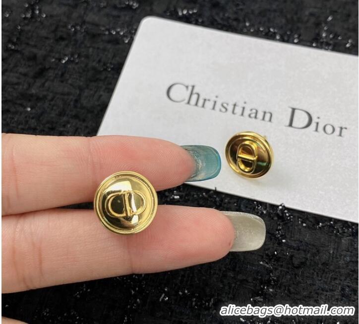 Well Crafted Dior Earrings CE10093