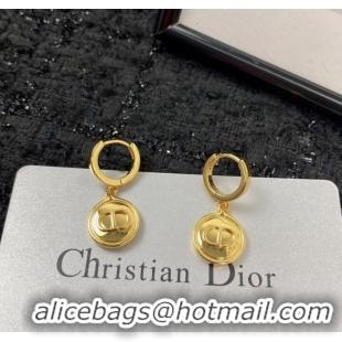 Reasonable Price Dior Earrings CE10094