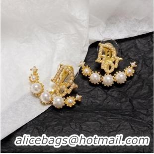 Top Design Dior Earrings CE10122