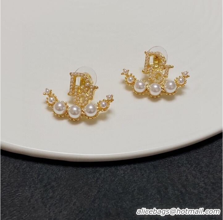 Top Design Dior Earrings CE10122