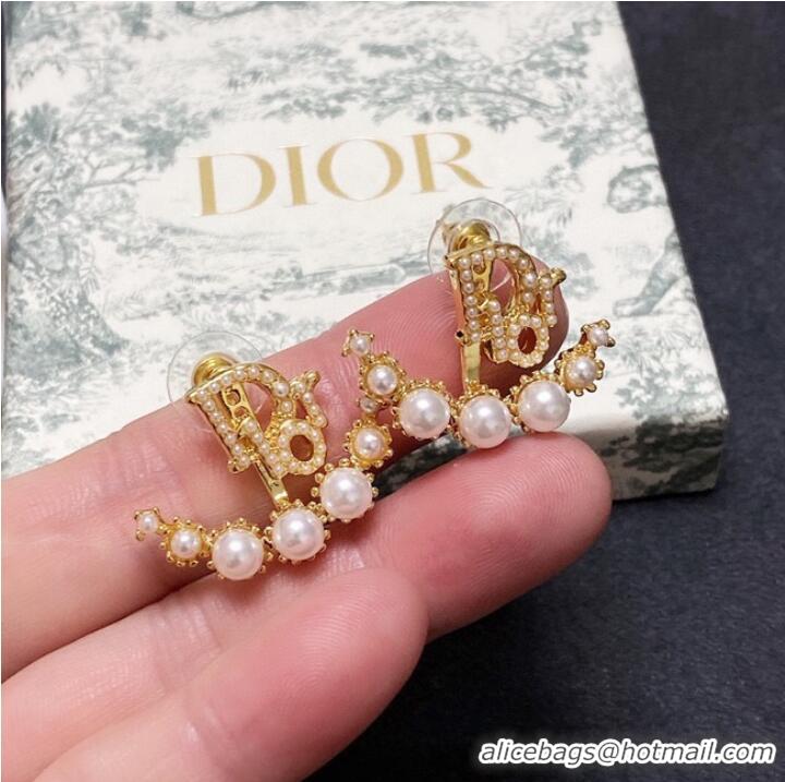 Top Design Dior Earrings CE10122