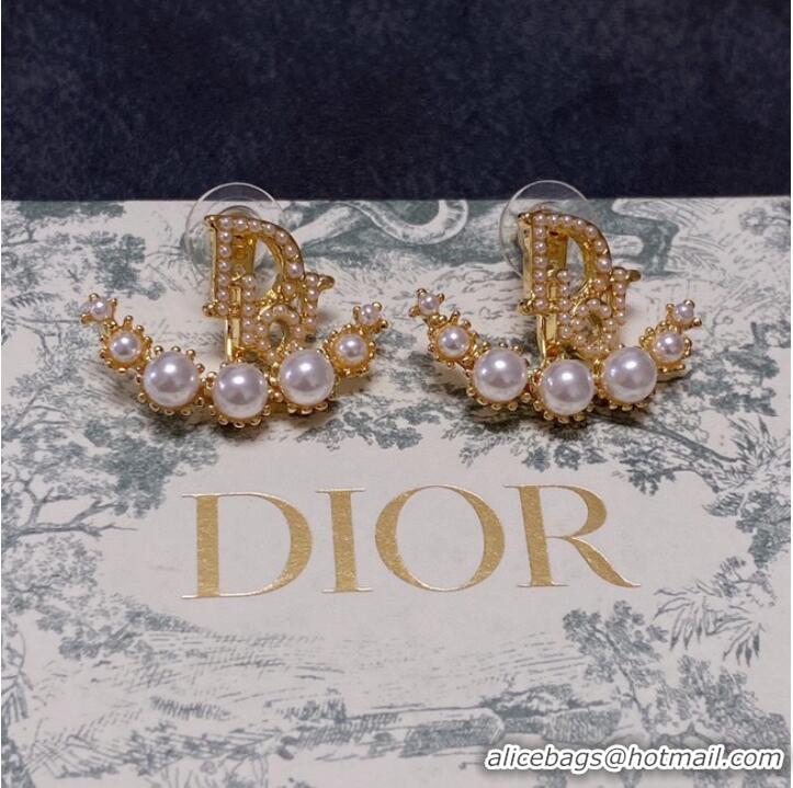 Top Design Dior Earrings CE10122