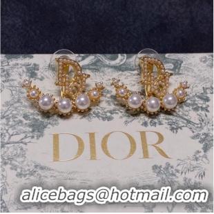 Good Quality Dior Earrings CE10147