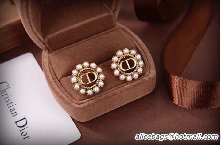 Good Quality Dior Earrings CE10147