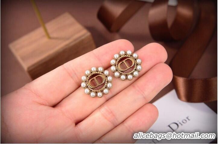 Good Quality Dior Earrings CE10147