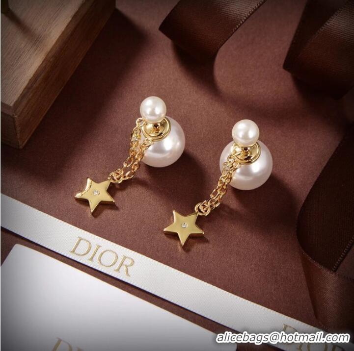 Most Popular Dior Earrings CE10148