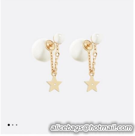 Most Popular Dior Earrings CE10148