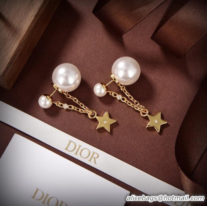 Most Popular Dior Earrings CE10148