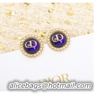 Spot Bulk Dior Earrings CE10177