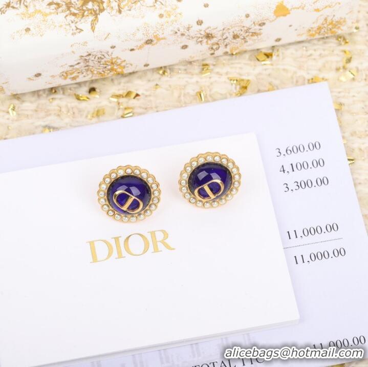 Spot Bulk Dior Earrings CE10177