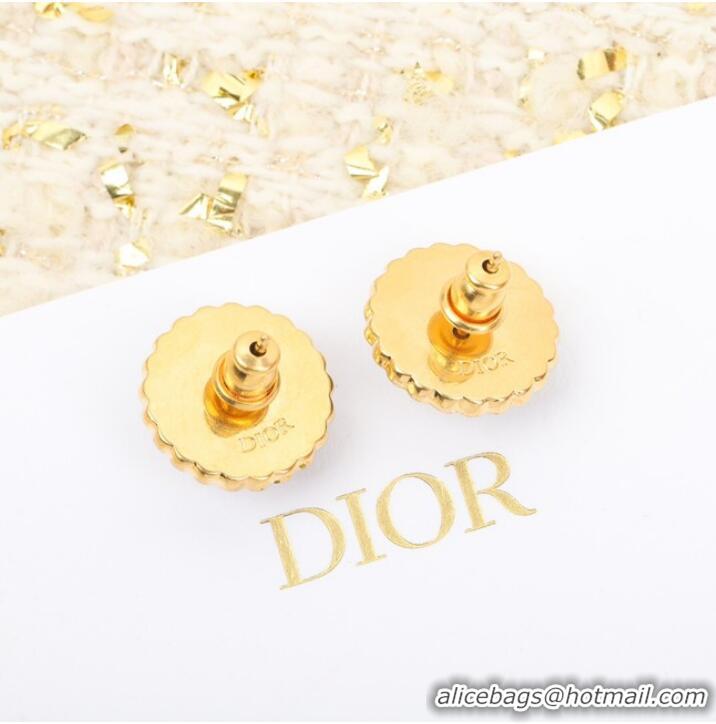 Spot Bulk Dior Earrings CE10177