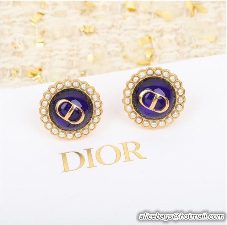 Spot Bulk Dior Earrings CE10177