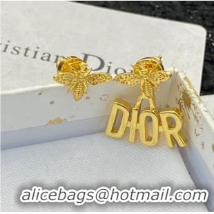 Sumptuous Dior Earrings CE10204