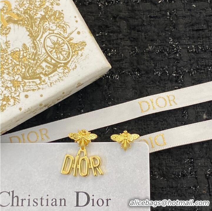 Sumptuous Dior Earrings CE10204