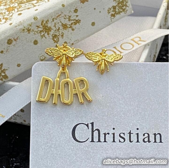 Sumptuous Dior Earrings CE10204