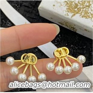 Buy Classic Dior Earrings CE10205