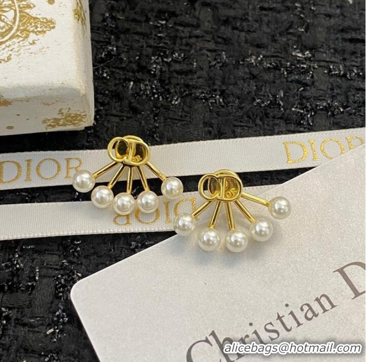 Buy Classic Dior Earrings CE10205