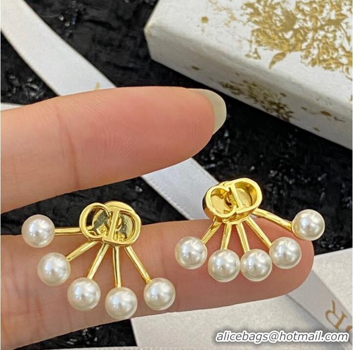 Buy Classic Dior Earrings CE10205