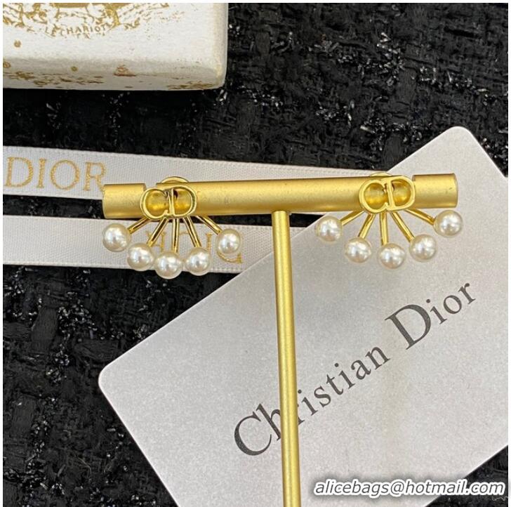 Buy Classic Dior Earrings CE10205